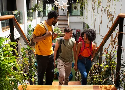 Youth Incubation Hub